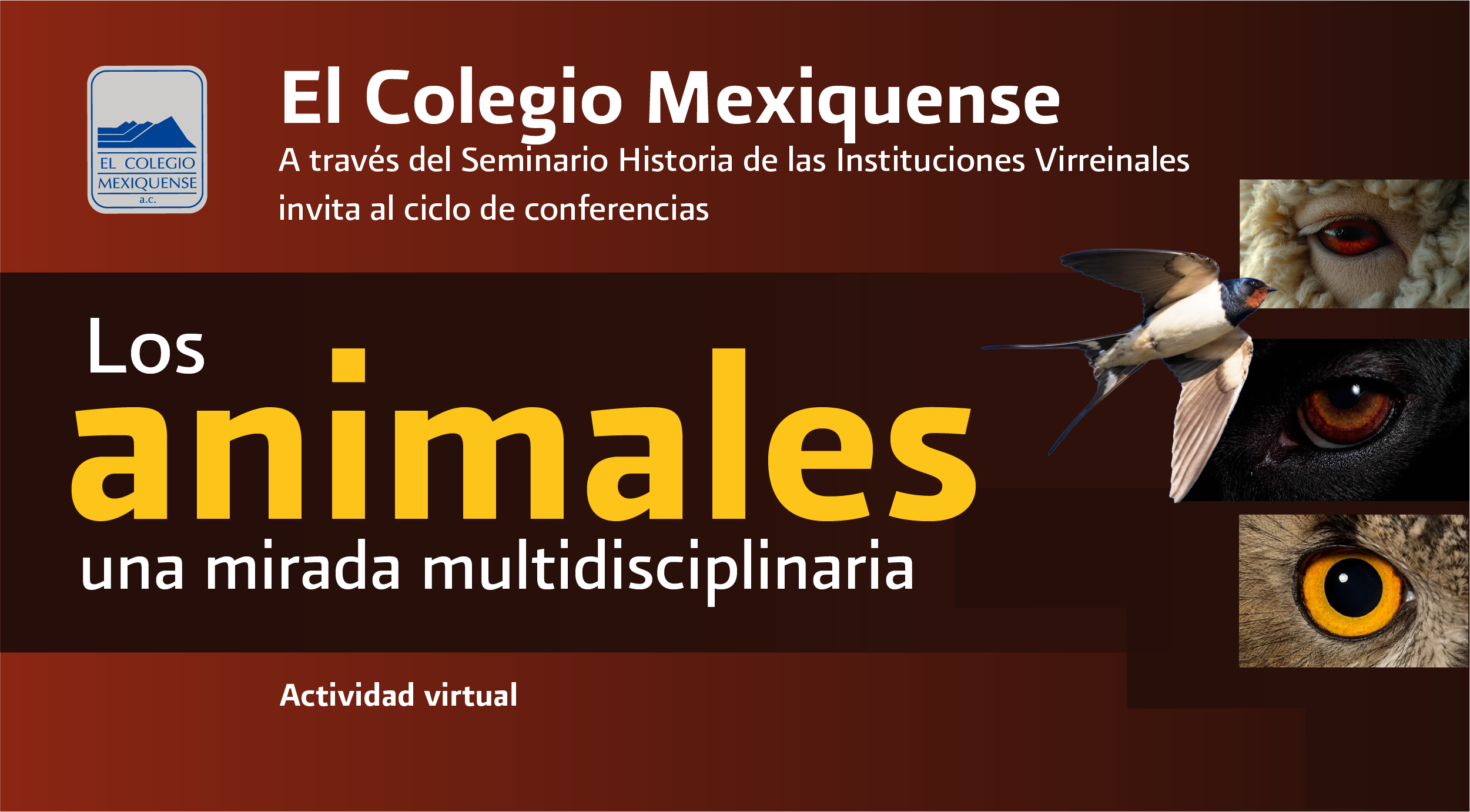 Ciclo de Conferencias. Los animales. Una mirada multidisciplinaria